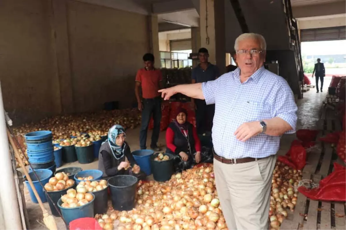 15-20 Gün İçerisinde Patates ve Soğan 1-1,5 Lira Olacak
