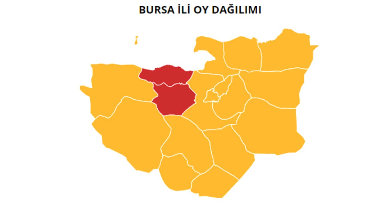24 Haziran 2018 Bursa Cumhurbaşkanı Adaylarının Oy Oranı! 24 Haziran 2018 Bursa\'da Sandıkta Kim Kazandı?