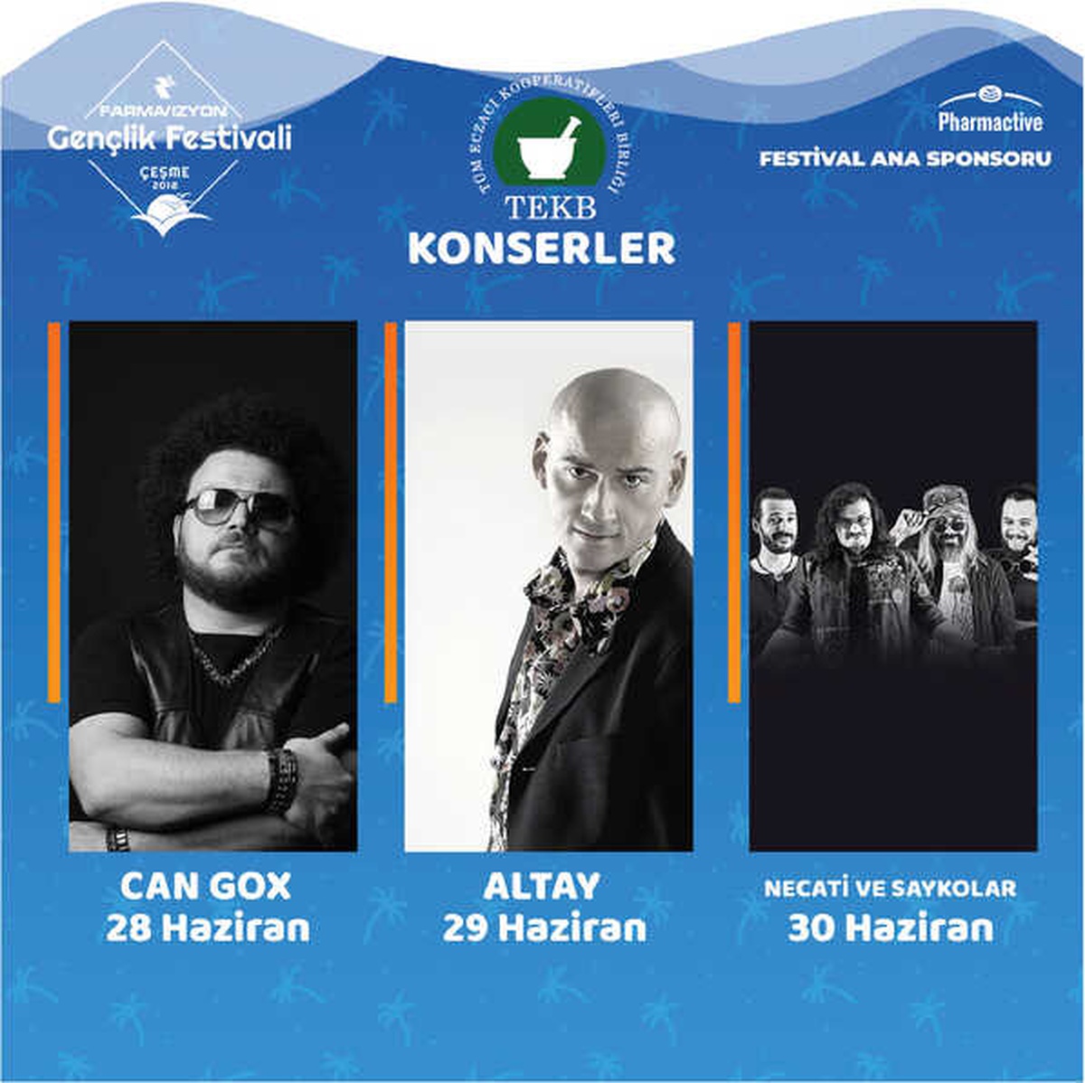 Genç Eczacılar Gençlik Festivalinde Buluşuyor