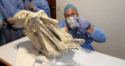 Peru'da Bulunan MumyalanmÄ±Å Ceset Yeni Bir Ä°nsan TÃ¼rÃ¼ne Ait Olabilir, System.String[]