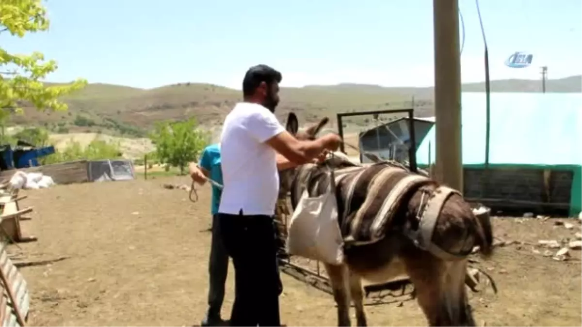 14 Yaşındaki Berdan\'ın Lgs Başarısı Dikkat Çekti