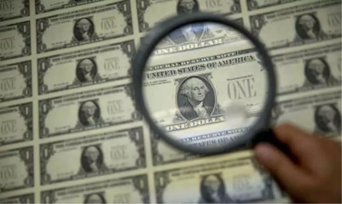 Kısa Vadede Döviz Likiditesi Sıkışıklığı Olmayacak"