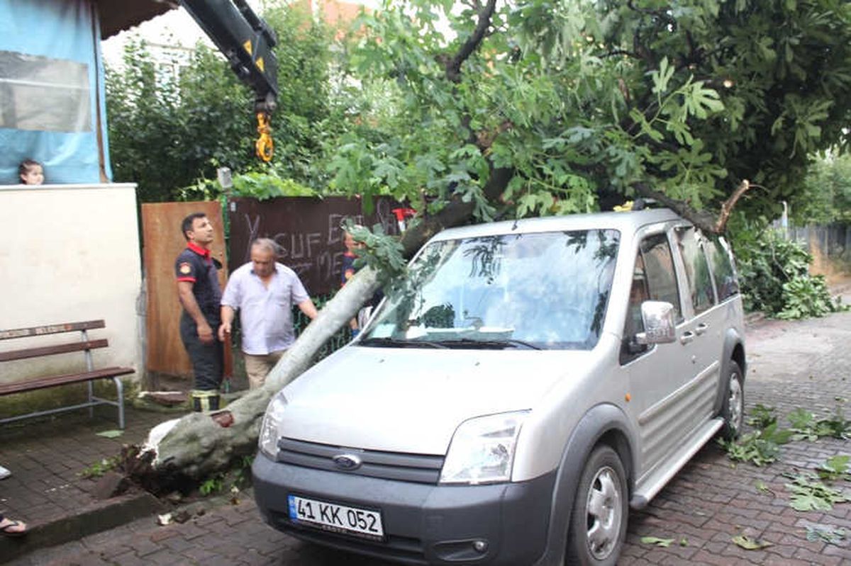 Kökü Çürüyen Ağaç, Park Halindeki Hafif Ticari Aracın Üzerine Devrildi