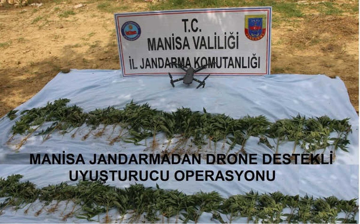 Manisa\'da Kenevir Operasyonu