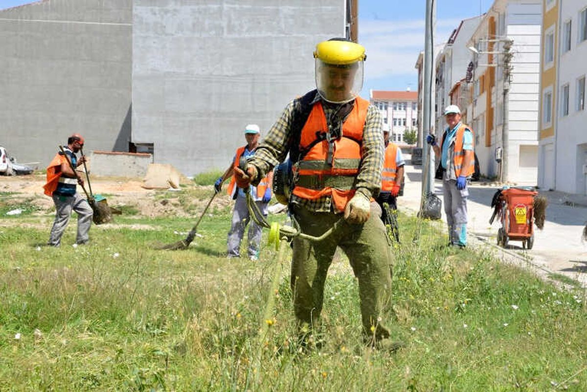 Yabani Otlar Temizleniyor