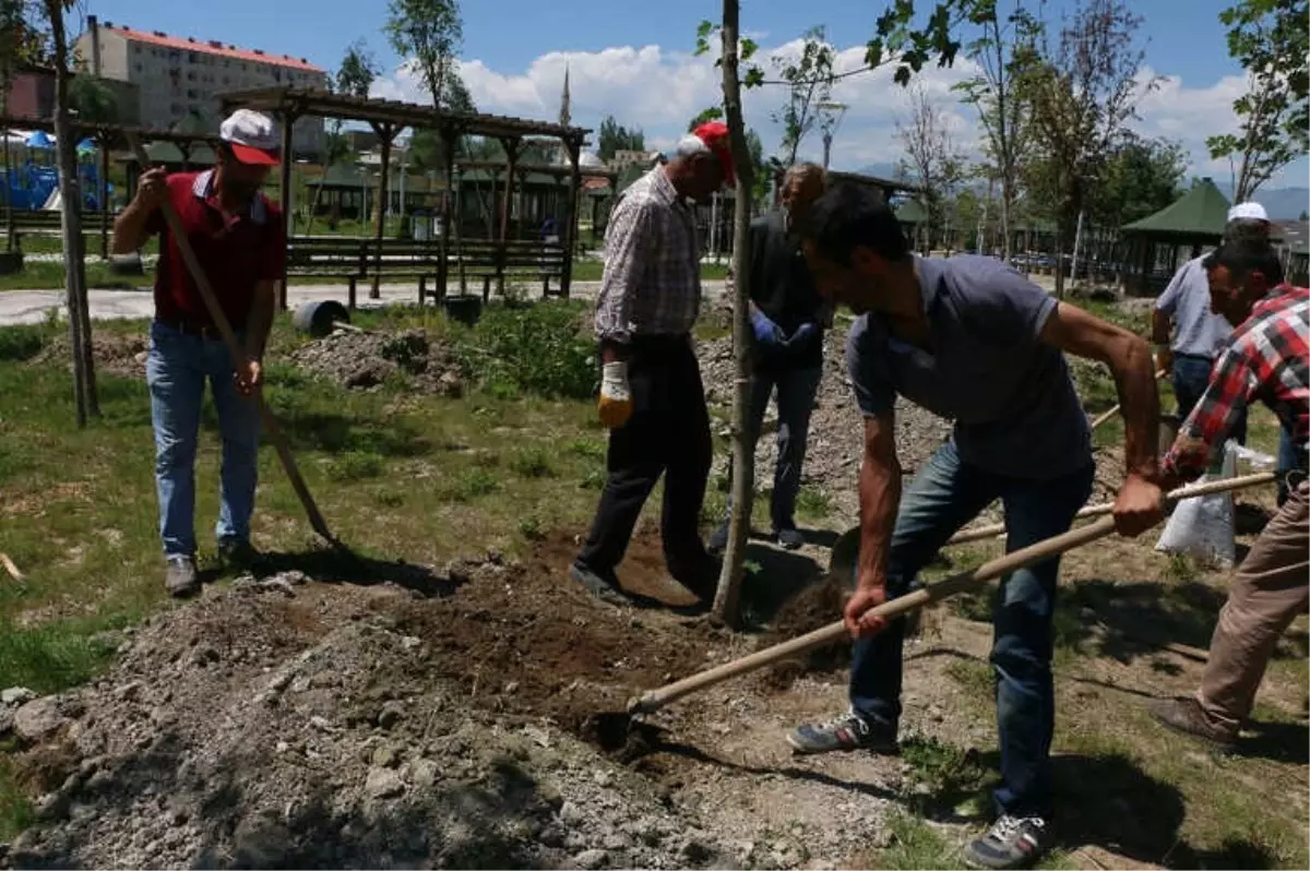 Aziziye\'ye 50 Bin Çiçek Dikiliyor