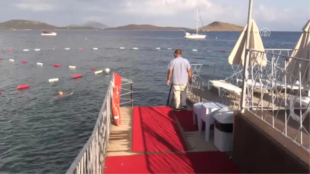 Bodrum\'da Ölü Yunus Sahile Vurdu