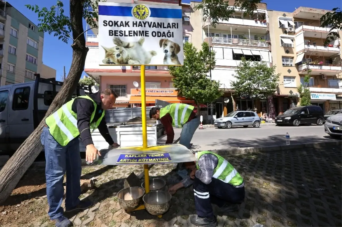 Buca\'da Can Dostlara Sıcak Önlemi