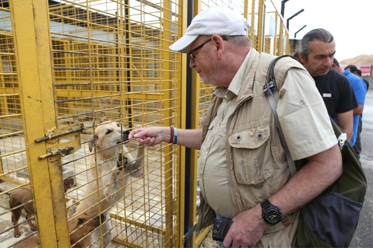 Nilüfer\'de İnsancıl Köpek Yakalama Eğitimi