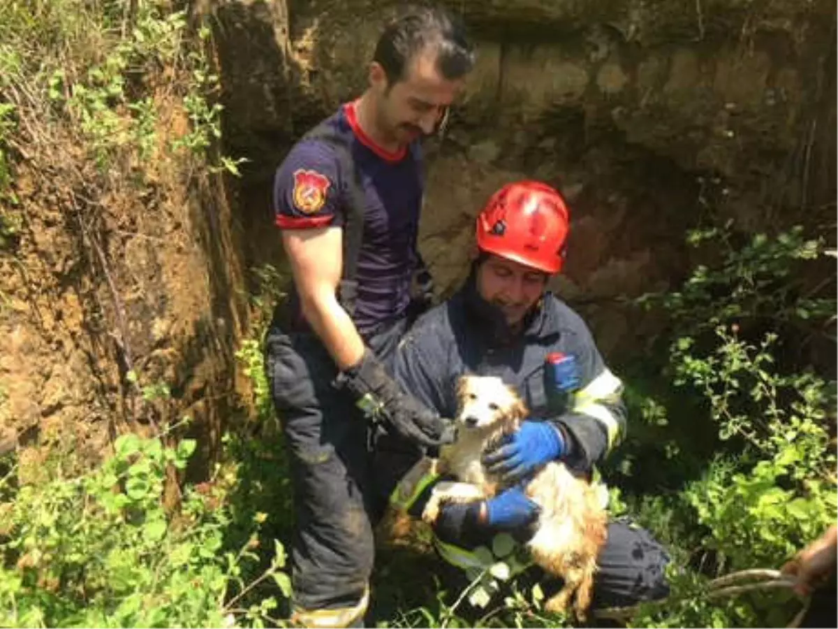 Su Kuyusuna Düşen Yavru Köpeği İtfaiye Kurtardı