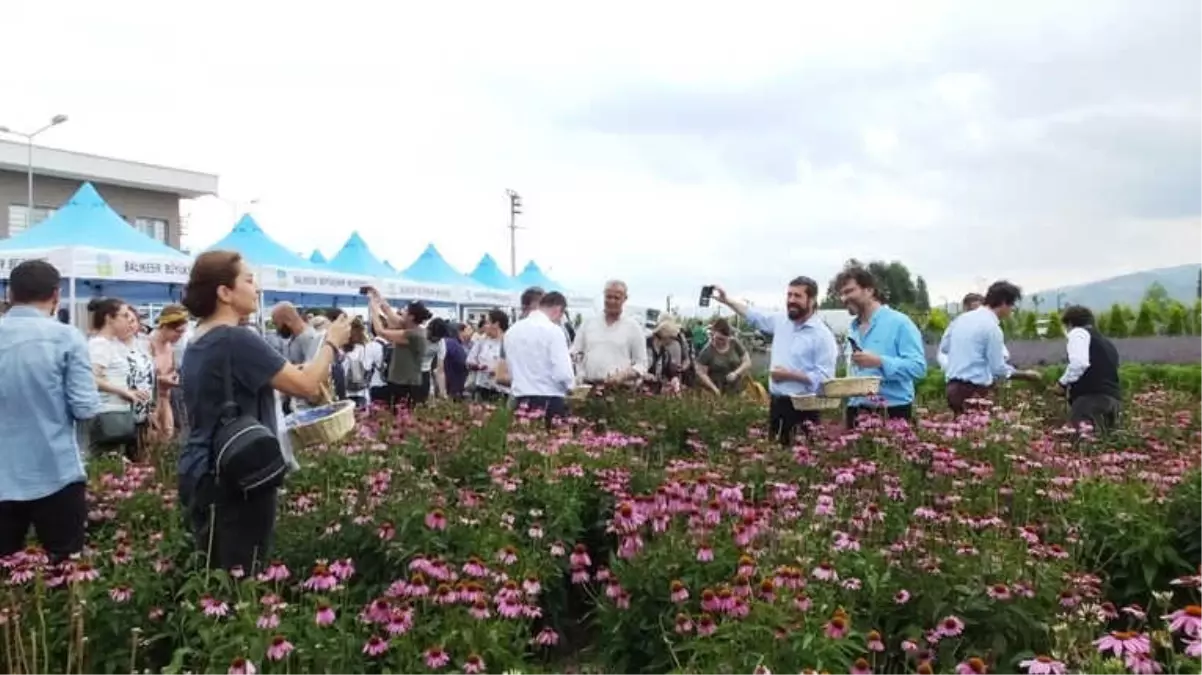 Balıkesir Aromatik Bitki Üretim ve Eğitim Merkezi Oldu