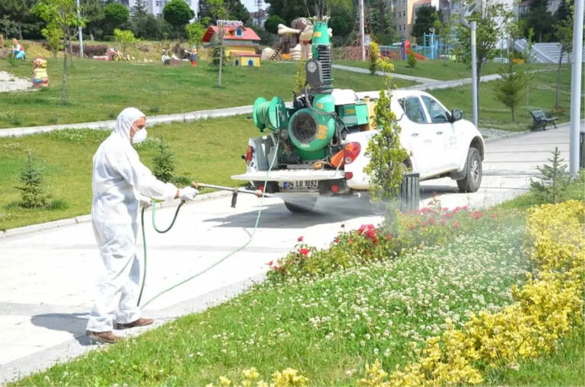 Et Yiyen Örümceğe Karşı Alarma Geçildi