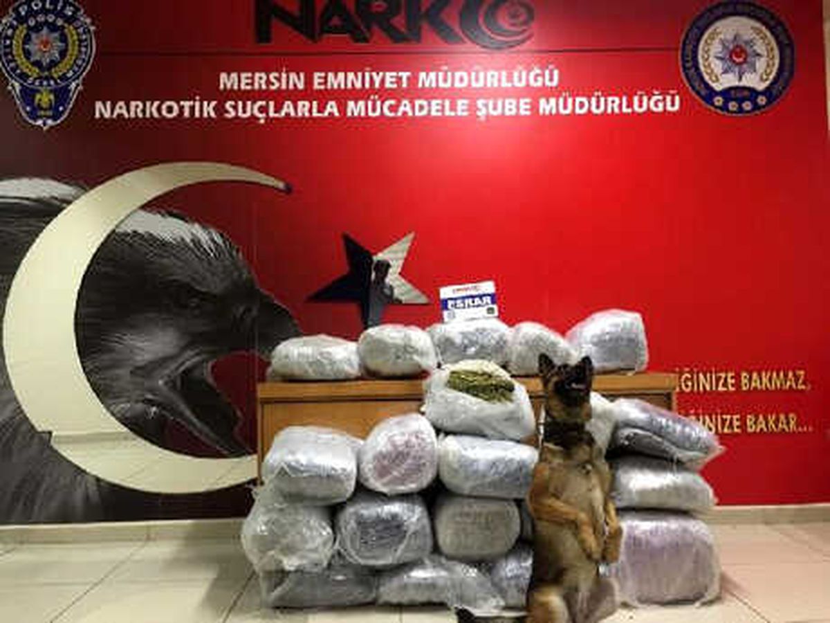 Mersin\'de 110 Kilo Esrara 1 Tutuklama