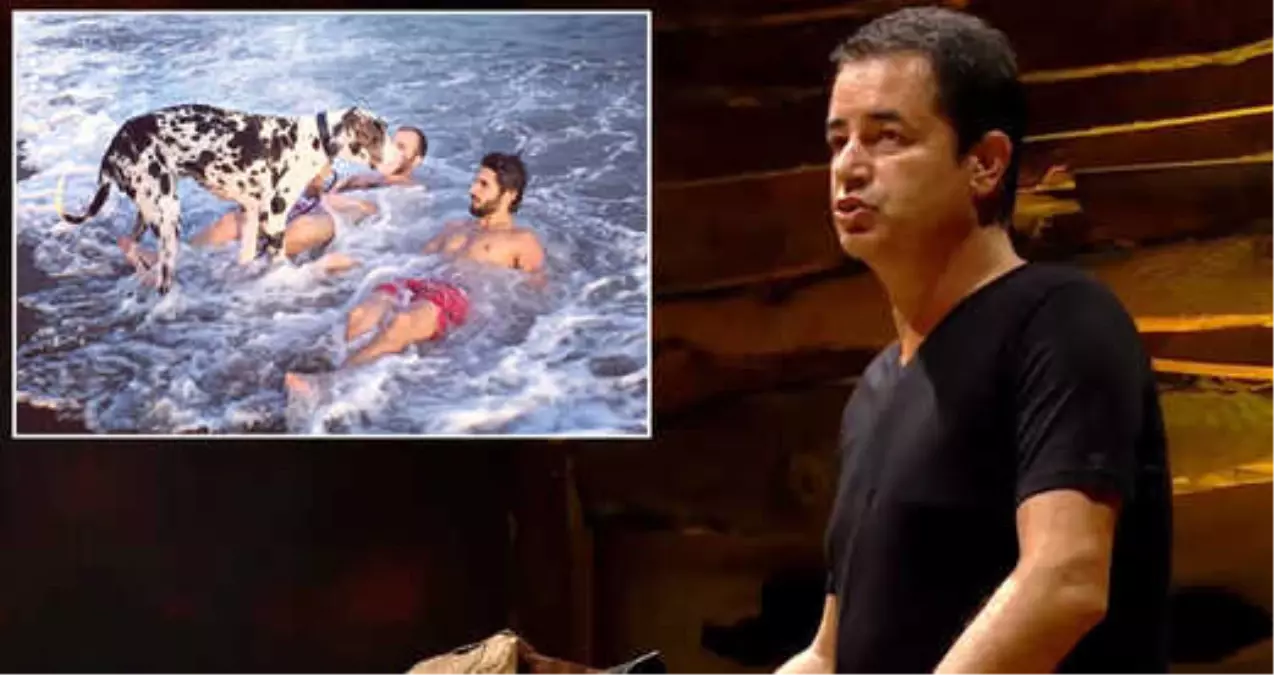 Survivor\'da Öldürülen Alper Baycın Cinayetinin Detayları Ortaya Çıkmaya Başladı