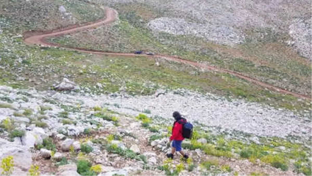 Yaylada Kamp Kurduktan Sonra Kaybolan Müzisyen, Havadan da Aranıyor