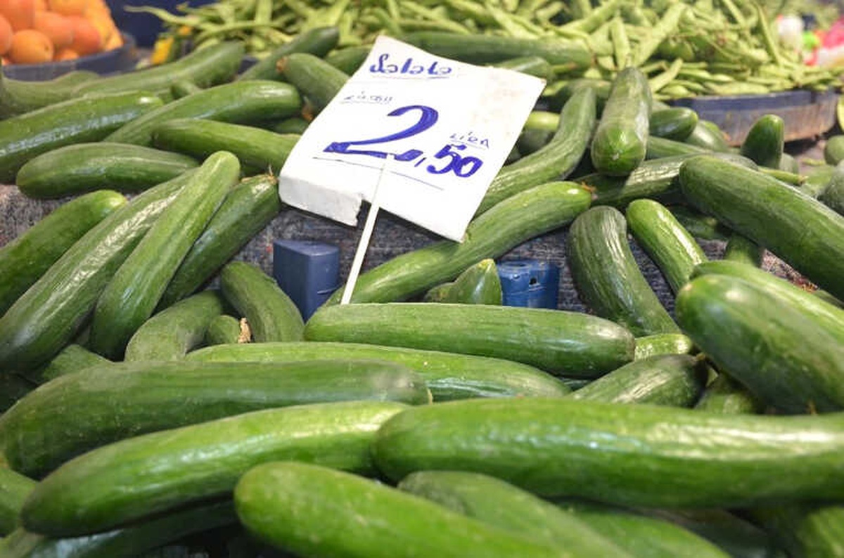 Yerli Domates ve Salatalığın Kilosu 2,5 Tl