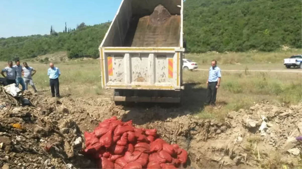 4 Ton Midye Ele Geçirildi: 20 Gözaltı