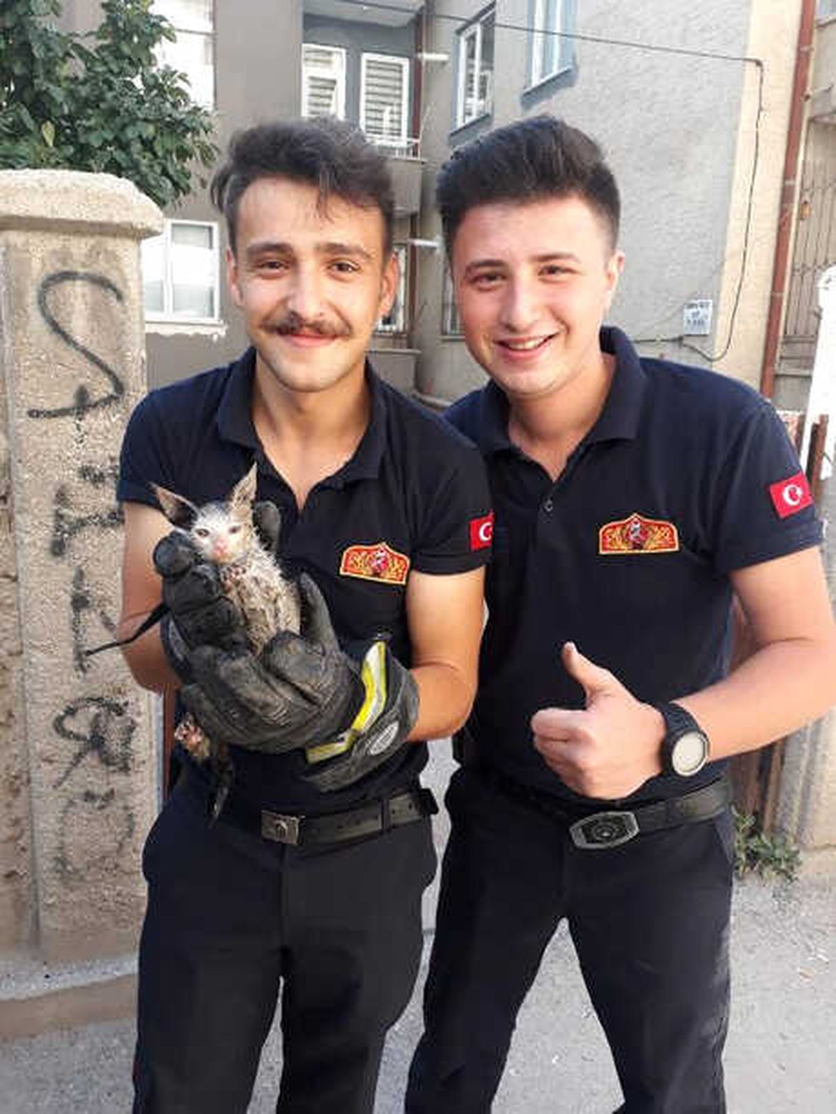 Çatıda Kedi Kurtarma Operasyonu