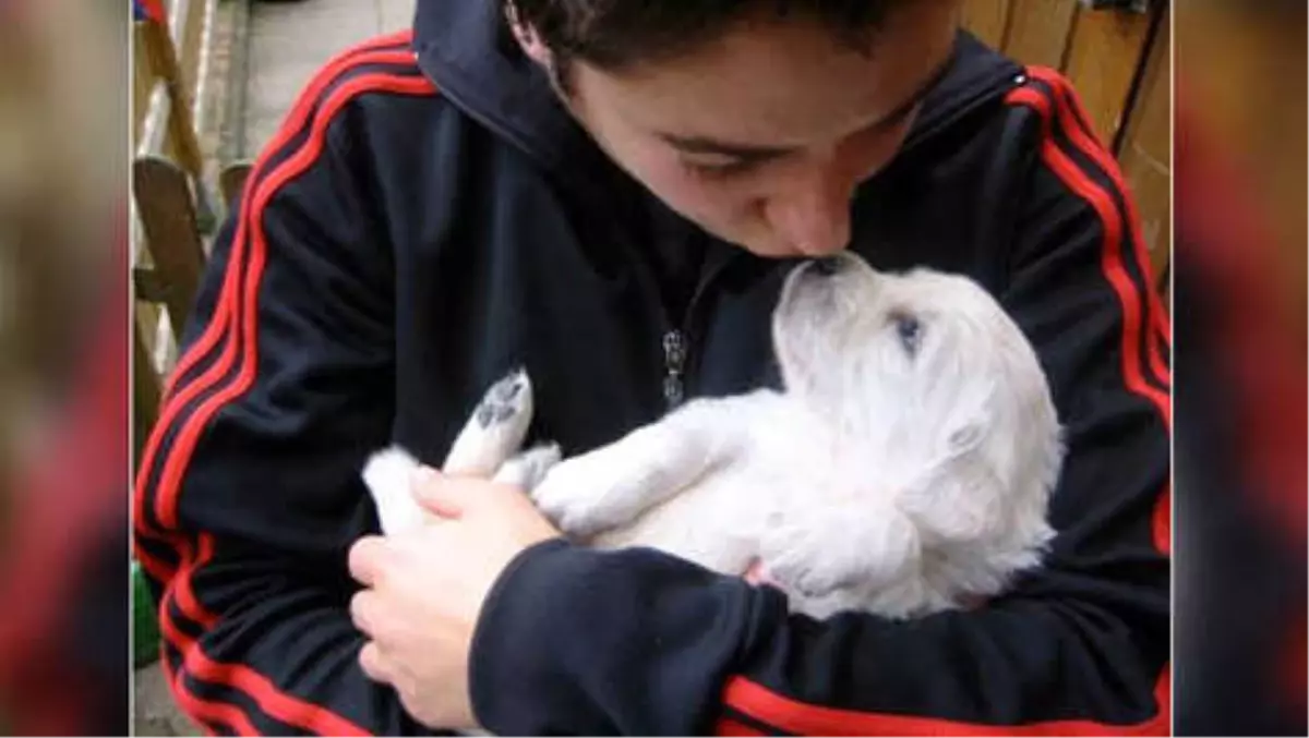 Dünja Hayali\'nin Köpeği Kanserle Mücadele Ediyor