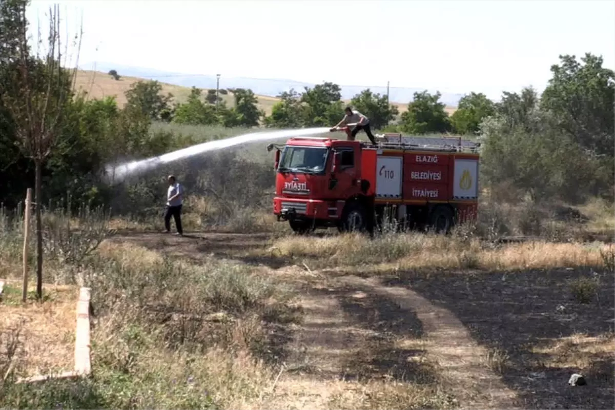 Elazığ\'da Buğday Tarlasında Yangın