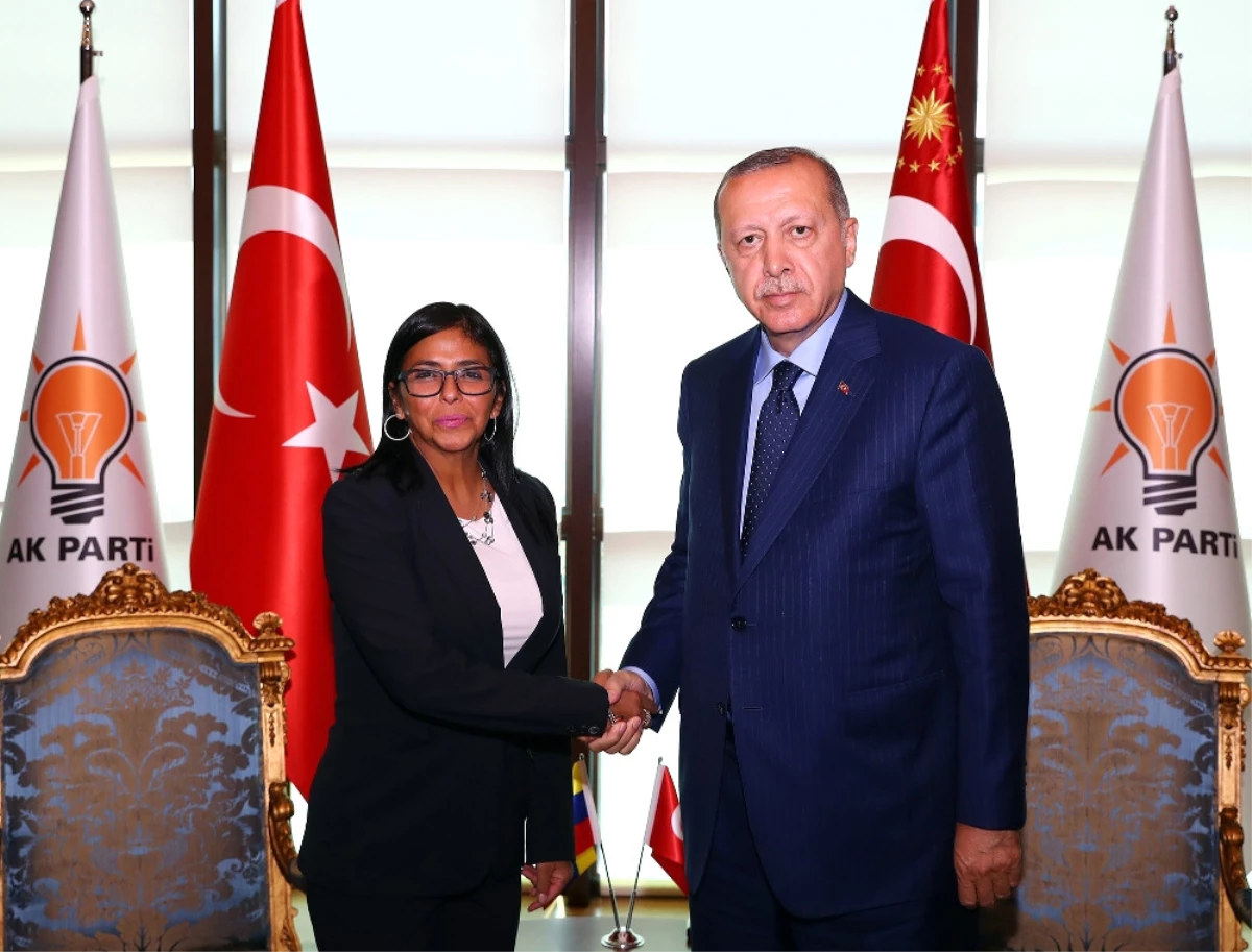 Erdoğan, Venezuela Cumhurbaşkanı Yardımcısı ile Görüştü