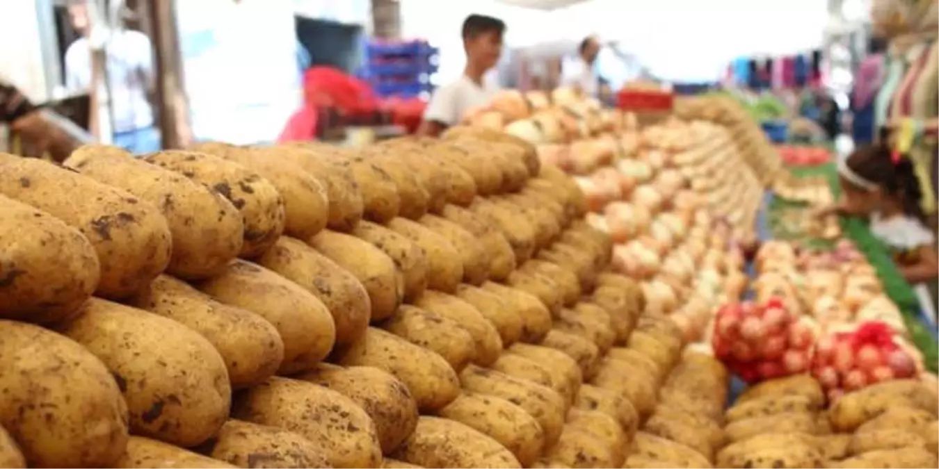 Nevşehir ve Niğde Bölgesindeki Patates Hasadı Fiyatları Düşürecek