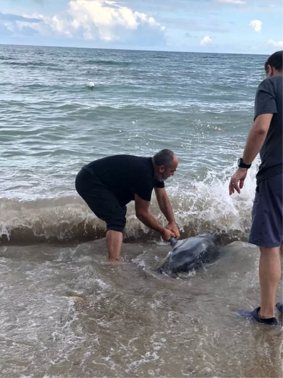 Yavru Yunusu, Çıplak Elle Yakalayıp Hayata Döndüren \'Kırkpınar Ağası\' Takdir Topladı