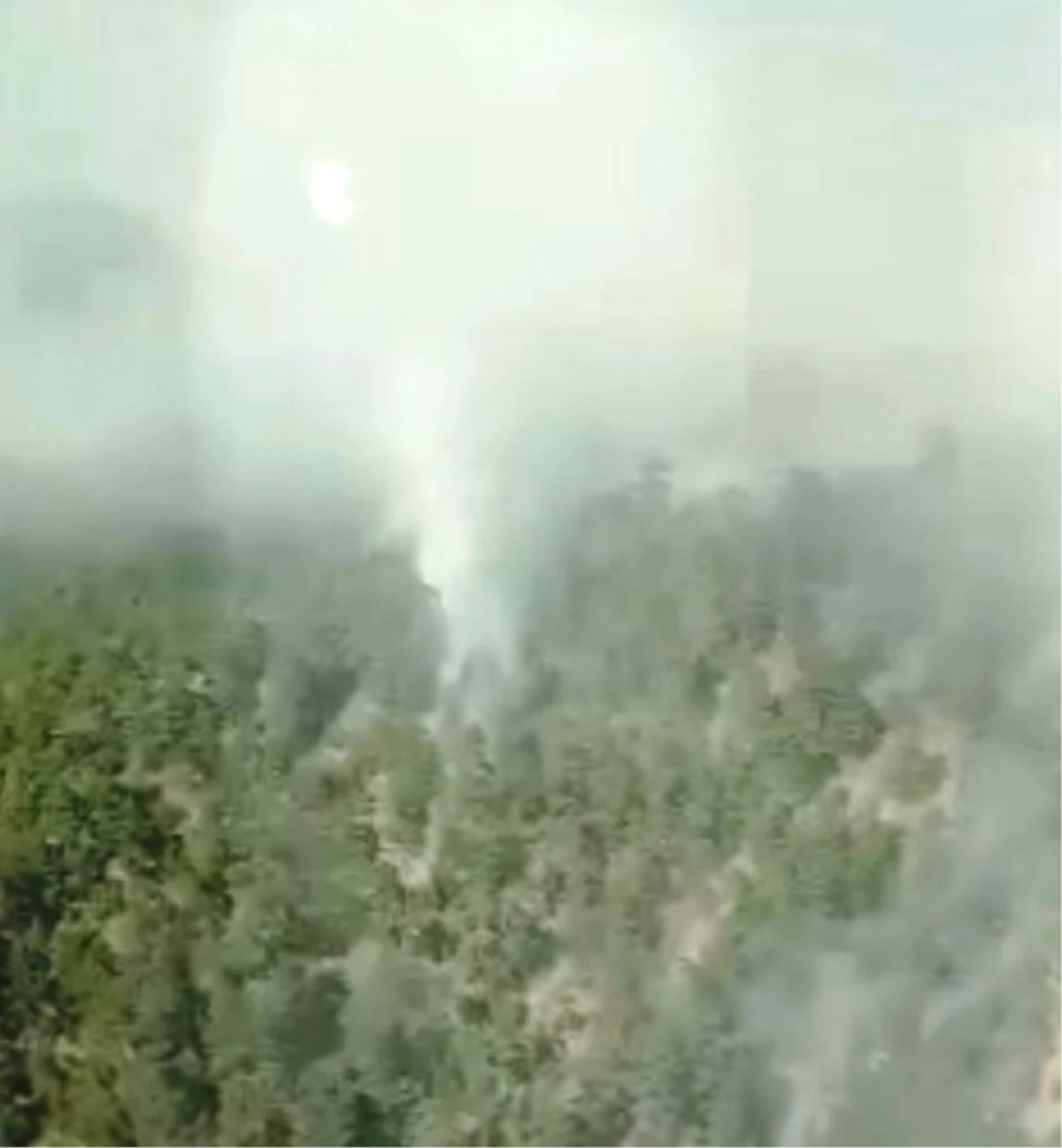 Kahramanmaraş\'taki Orman Yangını Kontrol Altına Alındı