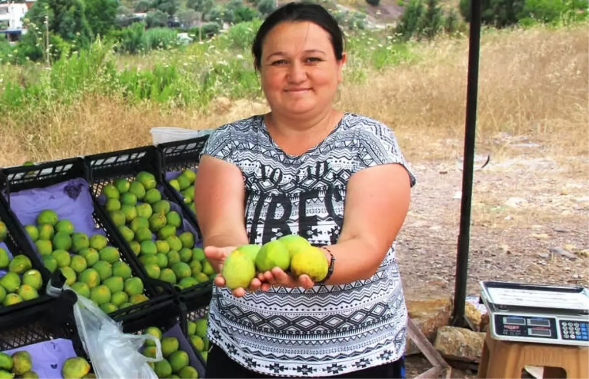 Manisa İnciri Tezgahlardaki Yerini Aldı