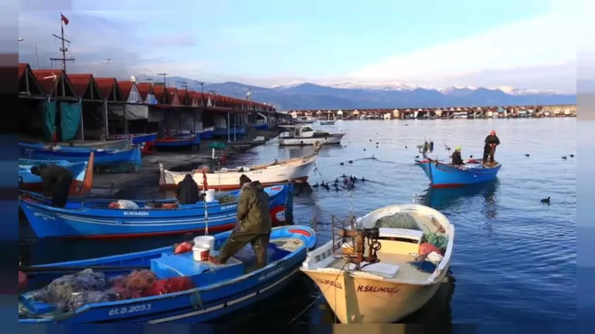 Trabzon Hamsisi Farklı Bir Irk, Tescil Bekliyoruz\'