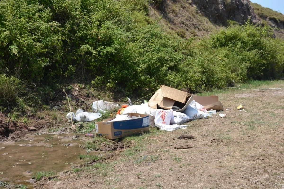 Başkan Ergül: "Çukurbağı\'na Çöp Dökenlere Gerekli Cezayı Keseceğiz"