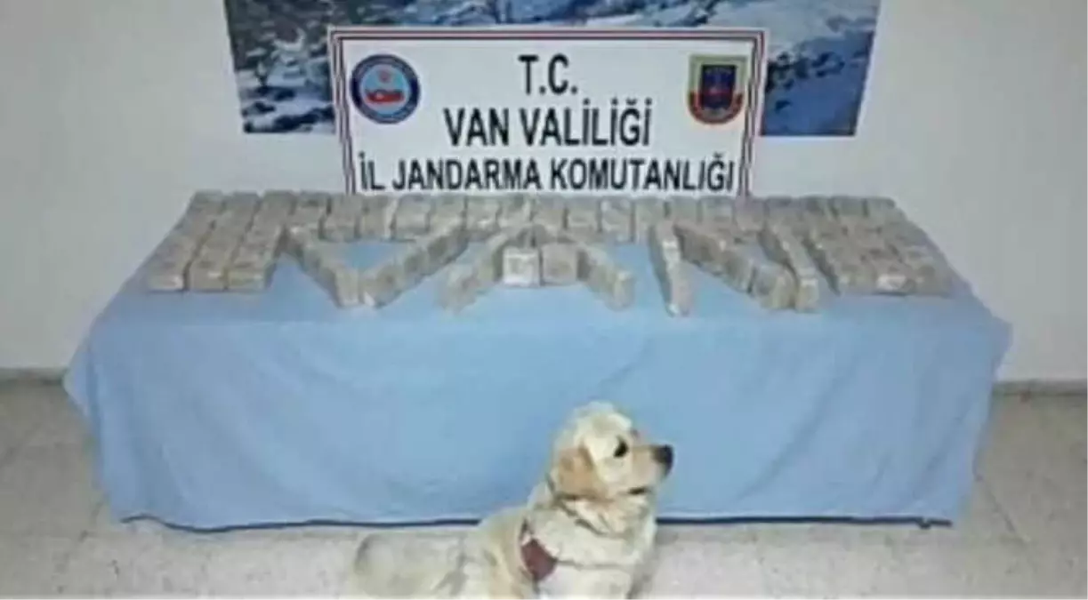 Jandarma Uyuşturucu Tacirlerine Aman Vermedi