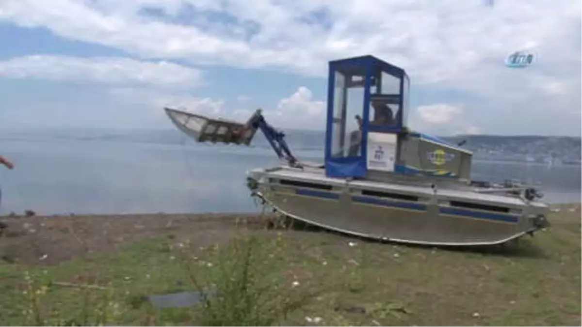 Sazlıklara Saklanan Kaçak Midye Avcıları, Amfibik Araçla Yakalandı