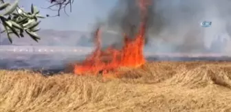 Sivas'ta Buğday Tarlasında Yangın