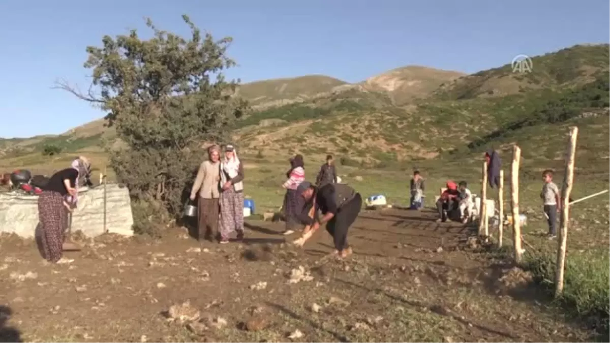 Yayla Yolunda Geçen Yarım Asır - Bitlis