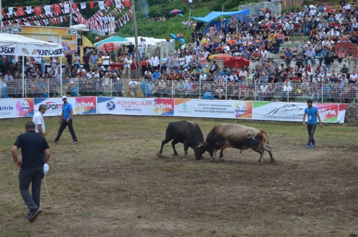 Artvin 38. Kafkasör Kültür, Turizm ve Sanat Festivali Sona Erdi