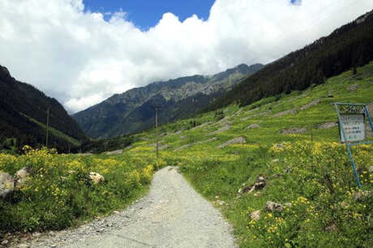 Doğu Karadeniz\'in Yeni Gözdesi Elevit Yaylası