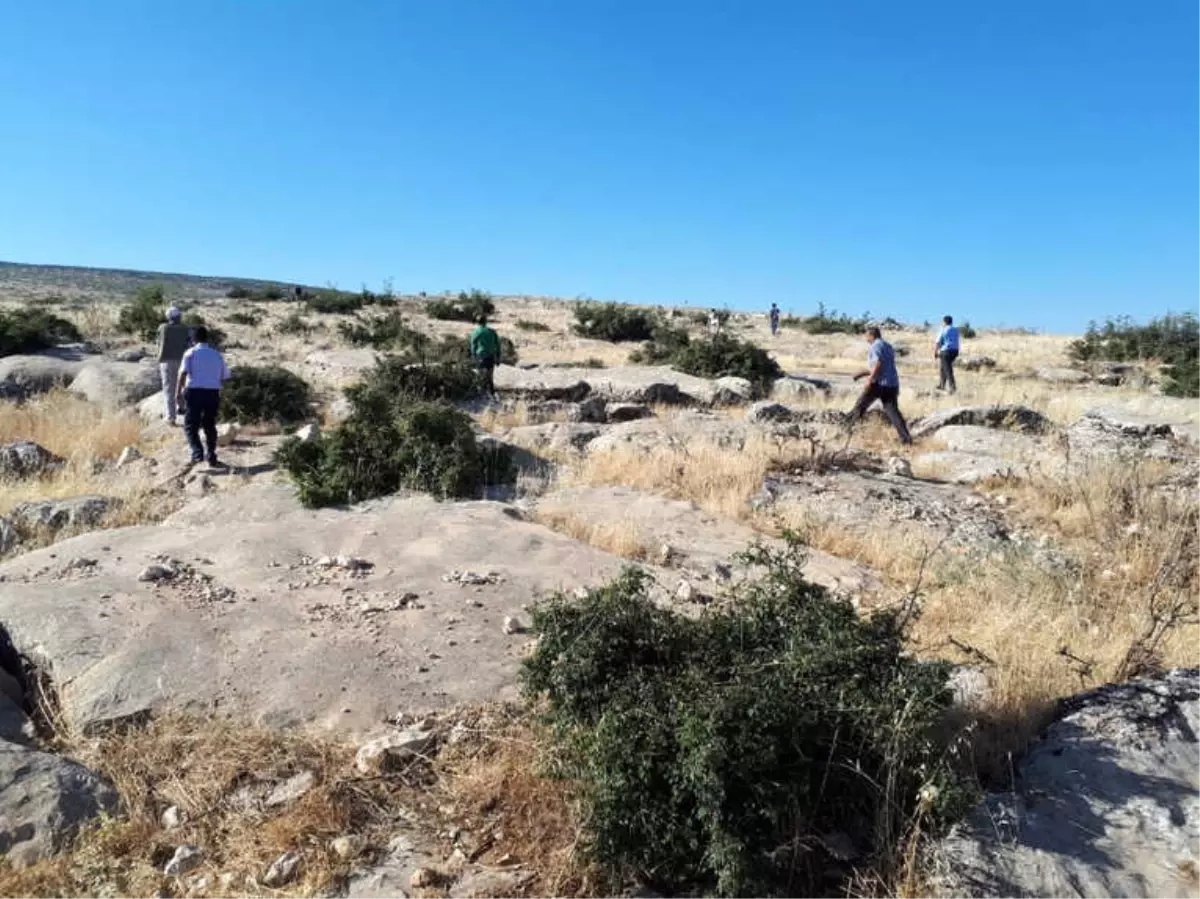 Hayvanları Otlatmaya Çıkaran Çocuktan Haber Alınamıyor