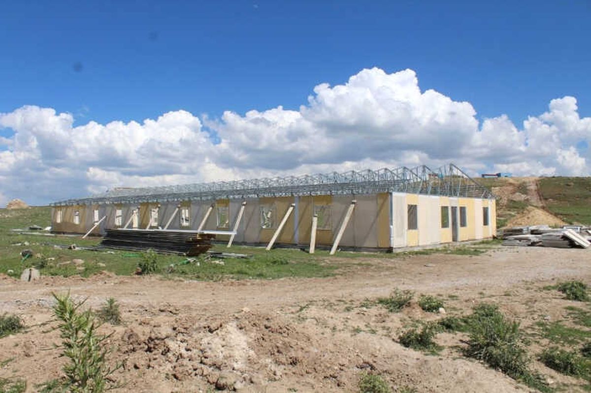 Çaldıran\'da Sokak Hayvanları İçin Barınak
