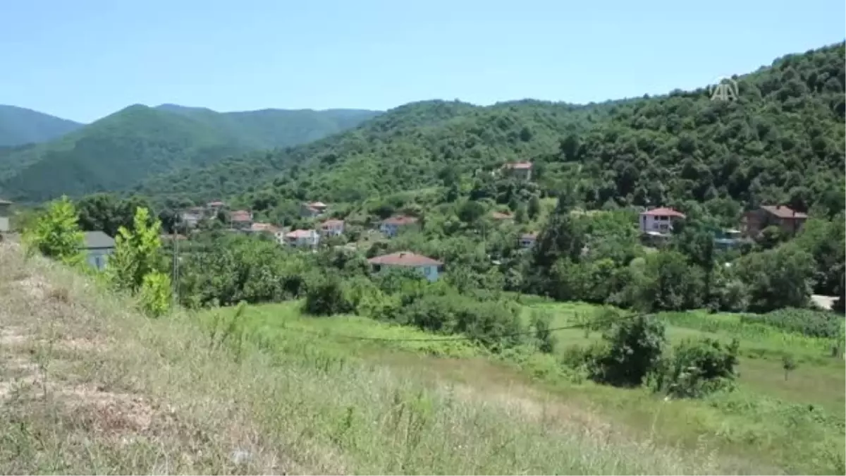 Kaybolan Alzaymır Hastası Bulundu - Yalova