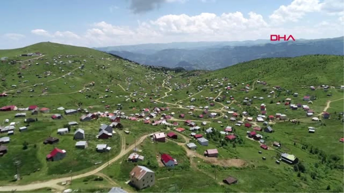 Trabzon Yayla Sakinleri, İmar Barışı İçin Sıraya Girdi Hd