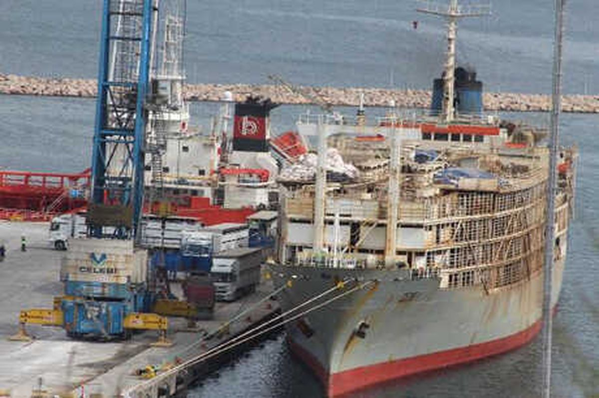Yüzen Ahır\', Brezilya\'dan 7 Bin 840 Dana Getirdi