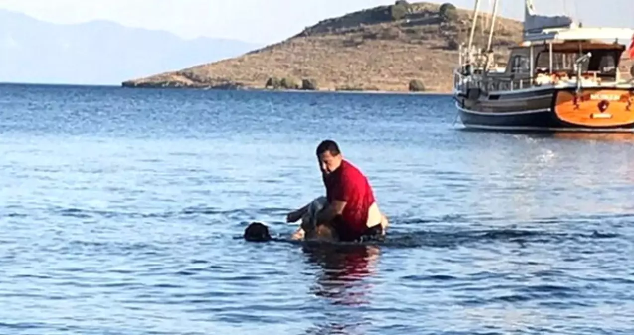 Bodrum Belediye Başkanı Mehmet Kocadon Boğulan Tatilcinin Hayatını Kurtardı