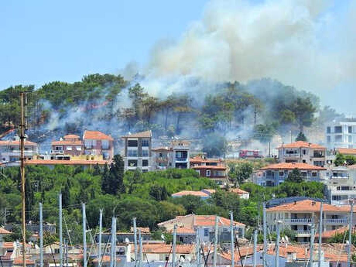 Çeşme\'de Korulukta Yangın; 30 Ağaç Zarar Gördü