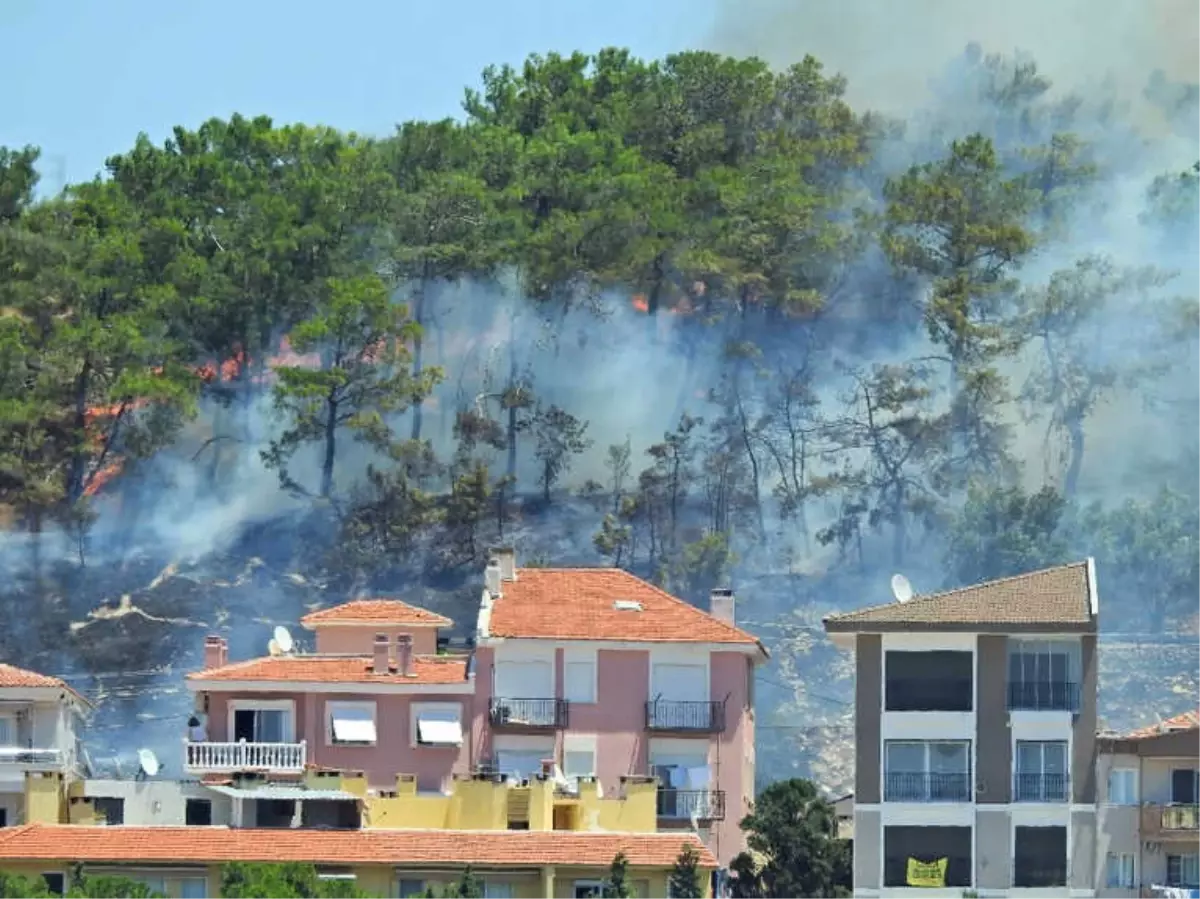 Çeşme\'de Orman Yangını Korkuttu