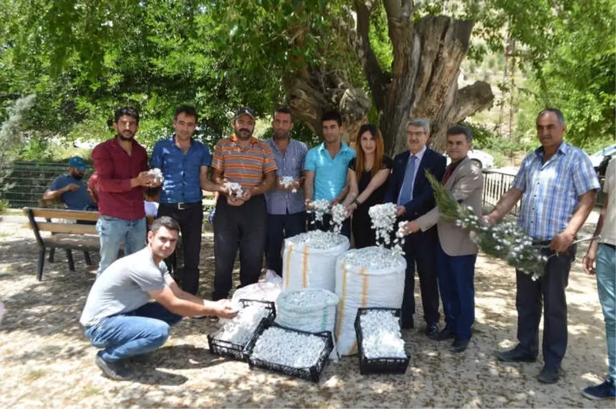 İpekböceği Kadınların Yüzünü Güldürdü