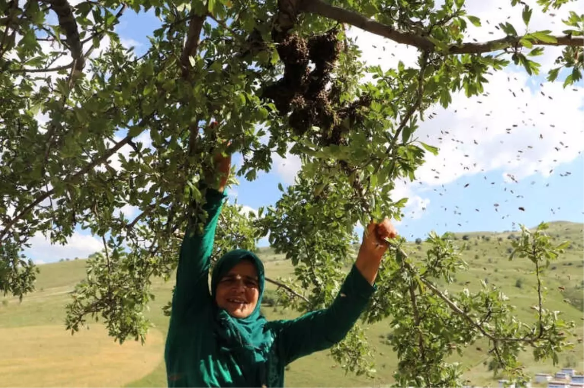 Kadın Arıcının Akıl Almaz Cesareti