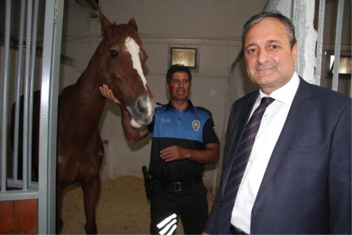 Kayseri Polisi, Hediye Atlarla Göreve Başladı