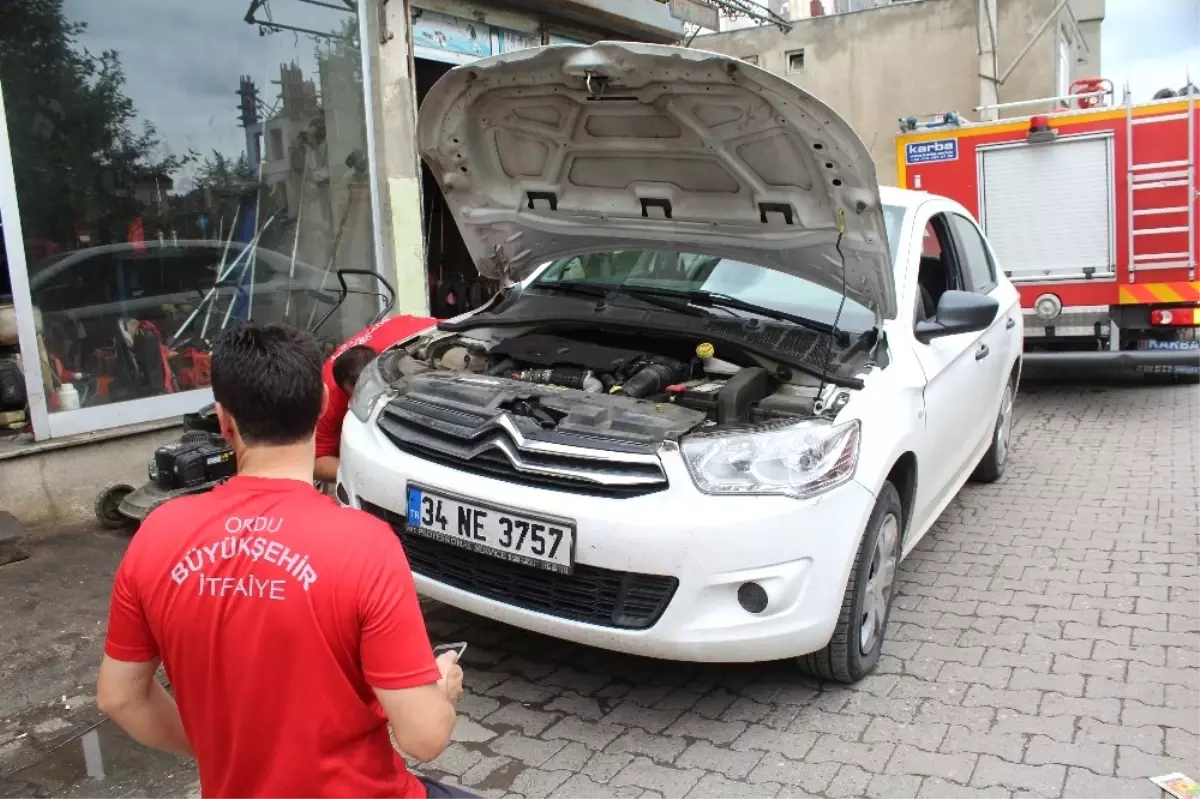 Vatandaş ve İtfaiyenin Yavru Kediyle Sınavı