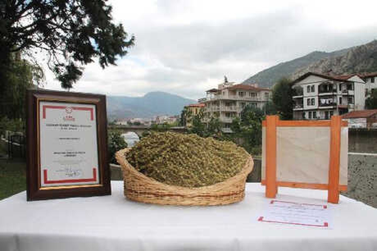 Amasya, İki Ürününe Coğrafi İşaret Tescil Belgesi Aldı